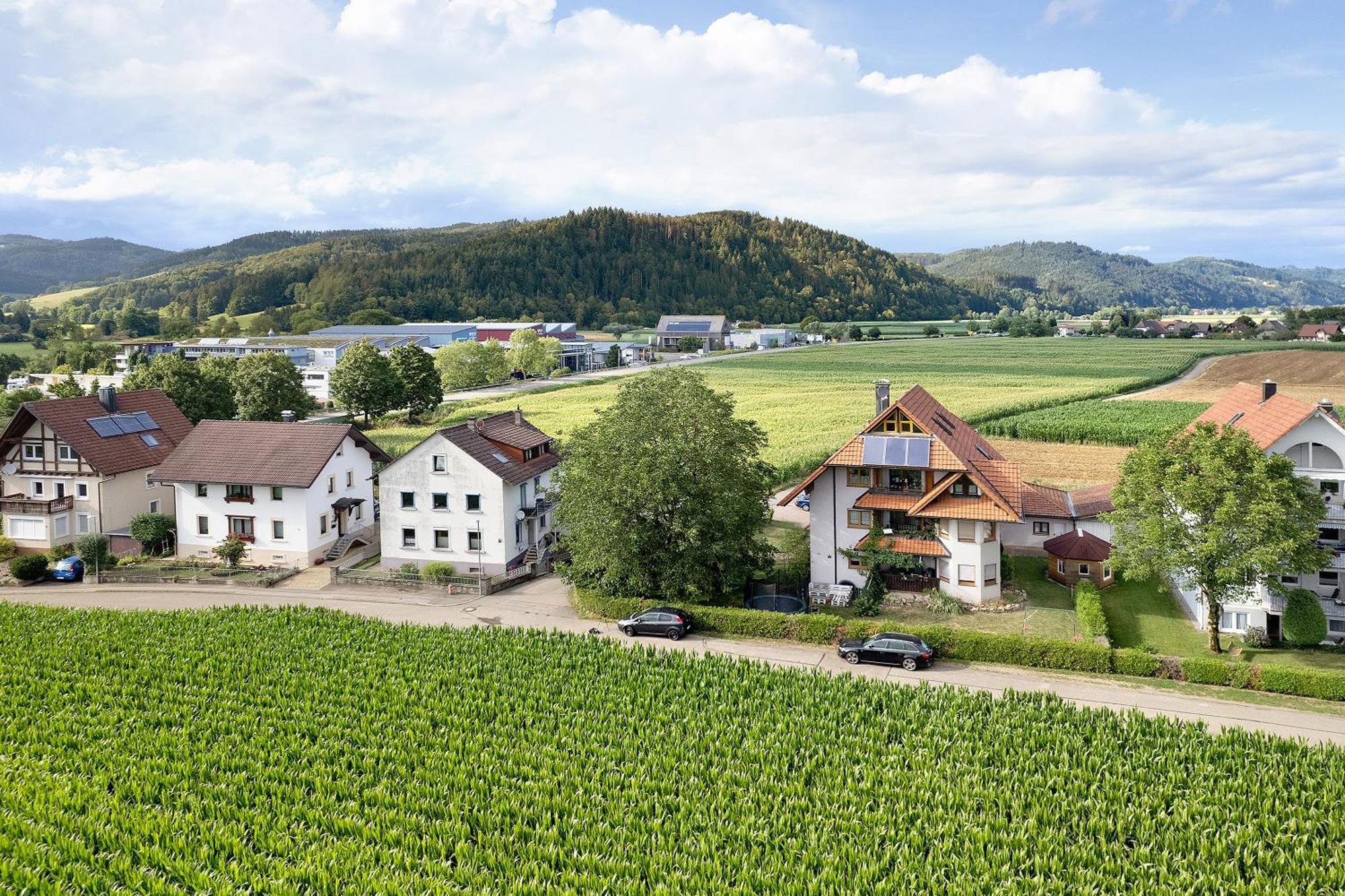 Ferienwohnung Emma Gutach im Breisgau Luaran gambar